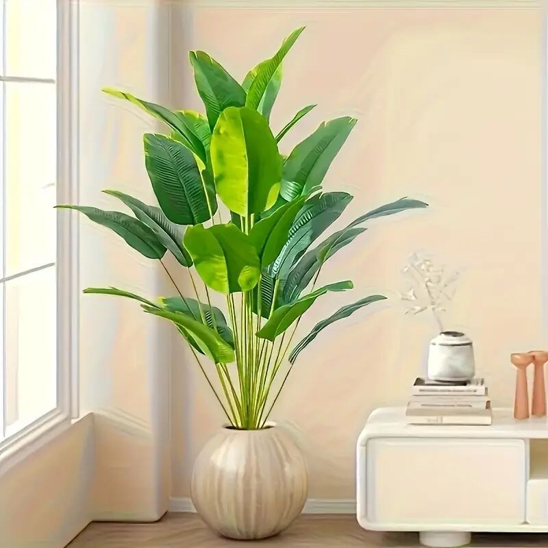 Plante Tropéa