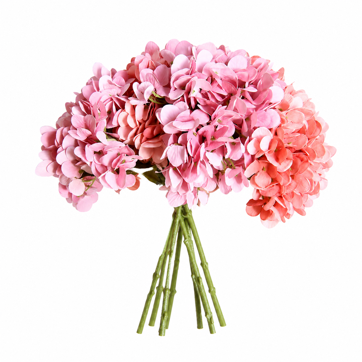 Bouquet Hortésia
