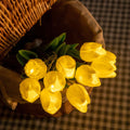 Guirlande Tulipe Lumina