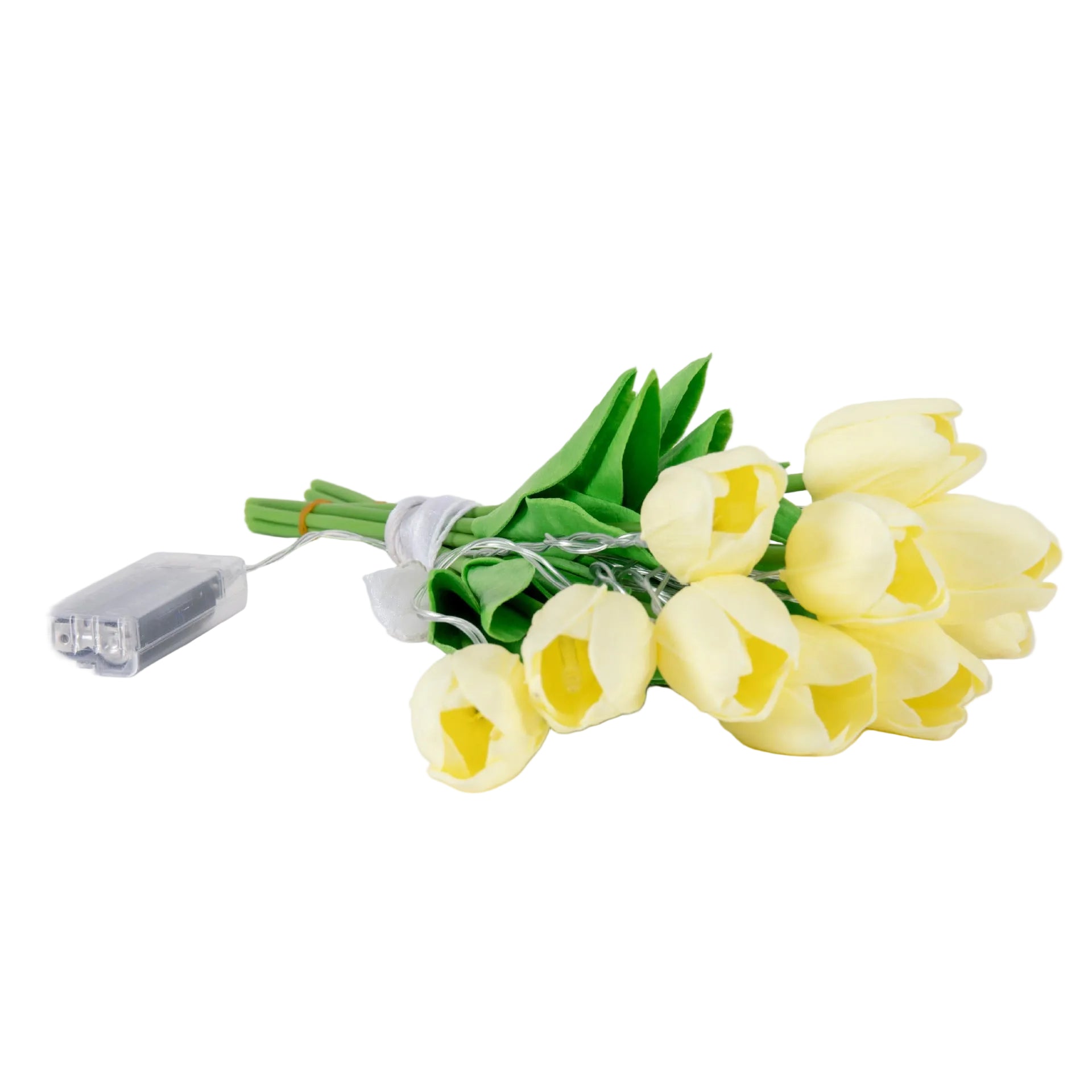 Guirlande Tulipe Lumina
