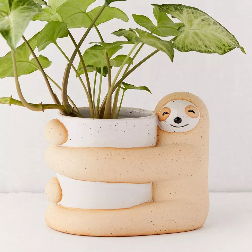 Cache-pot Numa