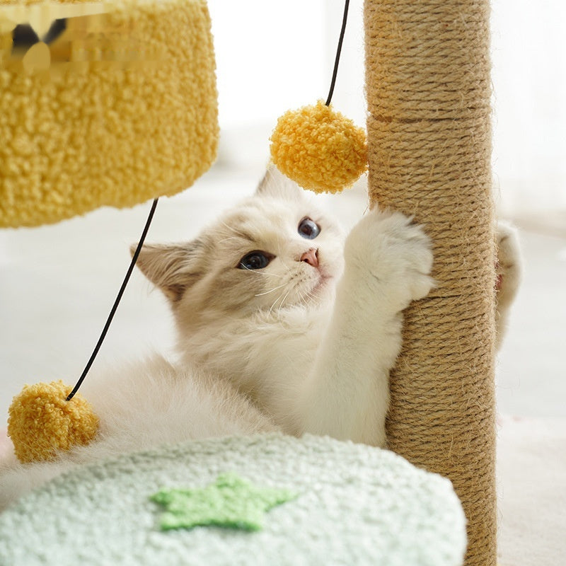 Arbre à chat Verde