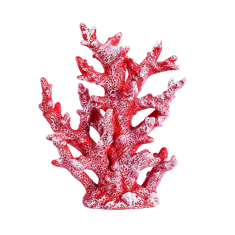 Corail Maréa