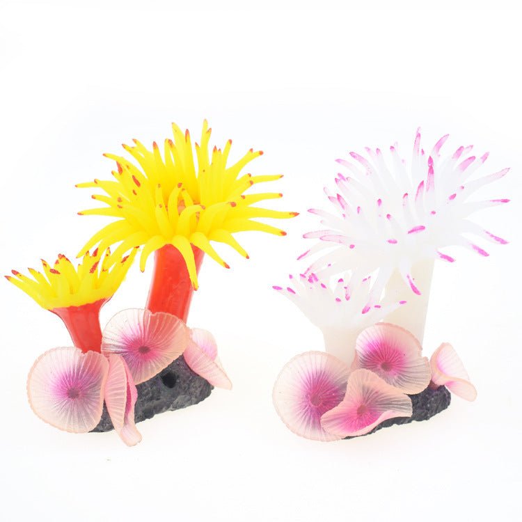 Décoration Coralya