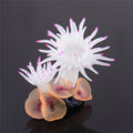 Décoration Coralya