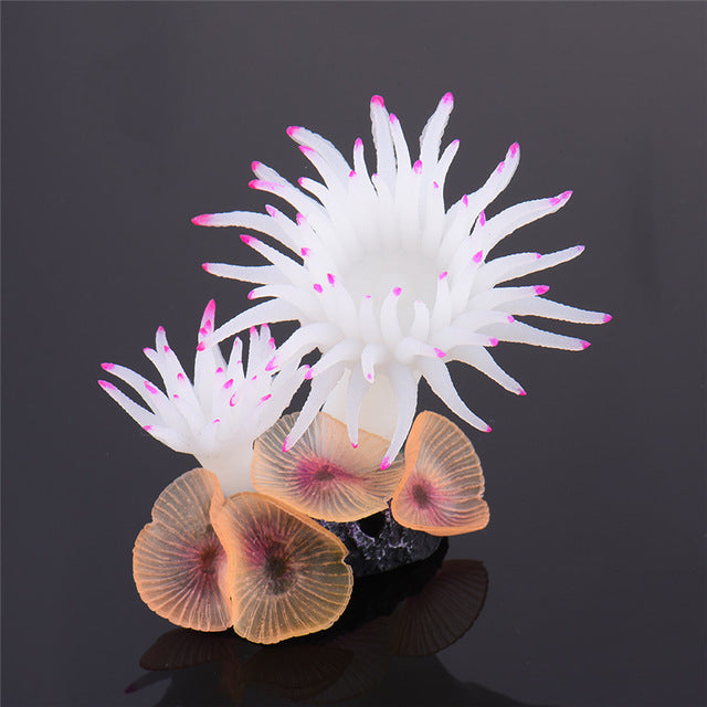 Décoration Coralya