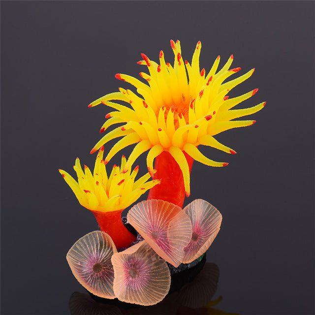 Décoration Coralya