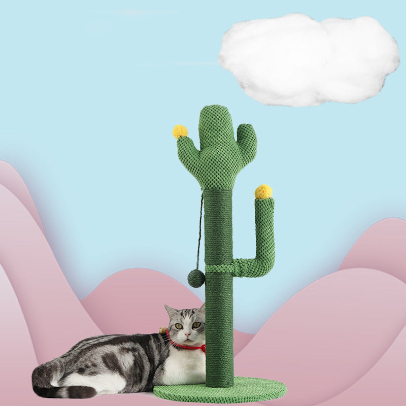 Griffoir Saguaro