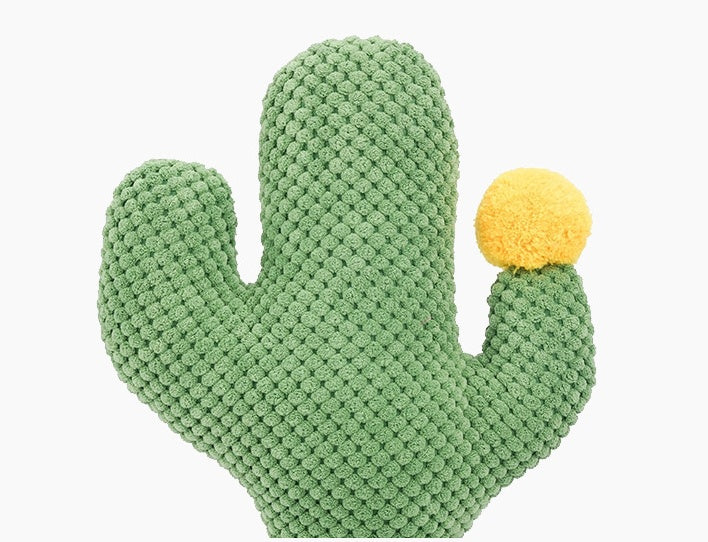 Griffoir Saguaro