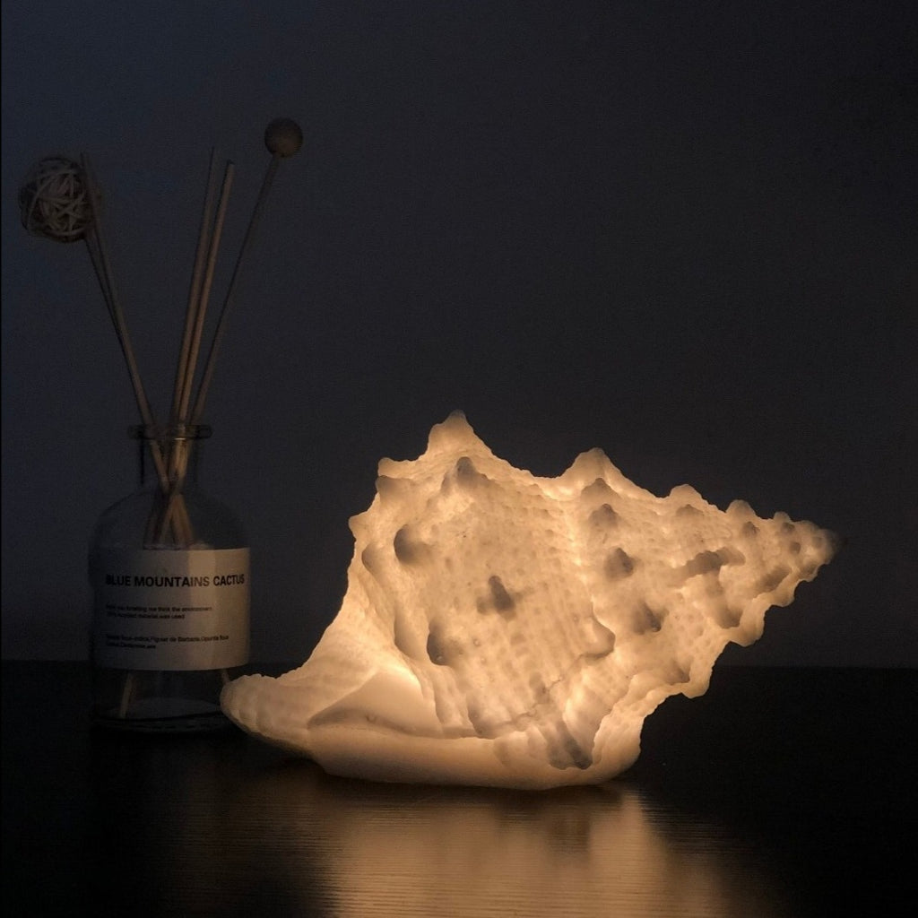 Lampe Coquillage Marina