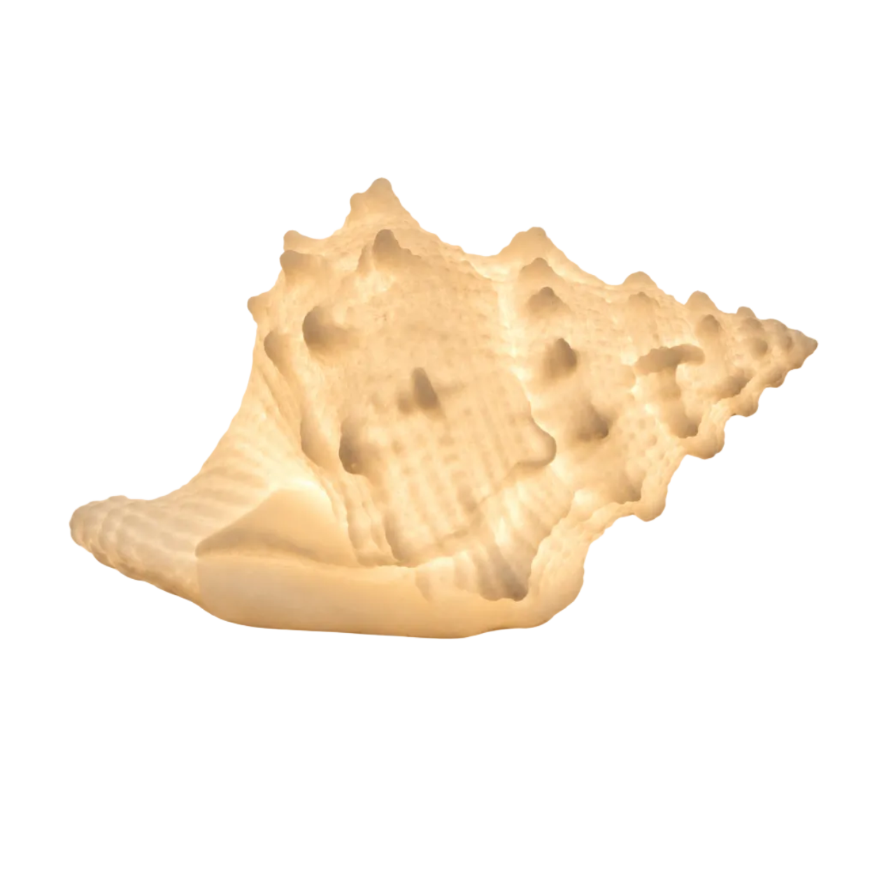 Lampe Coquillage Marina