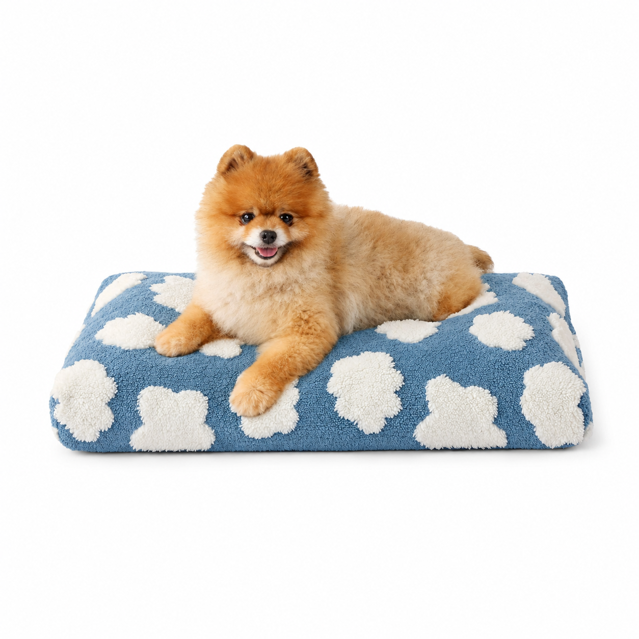 Matelas Futon