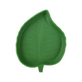 Coupelles Folia