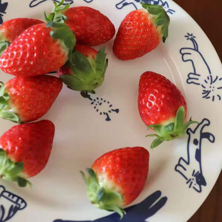 Assiette Moka