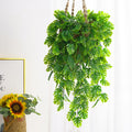 Plante Lianéa