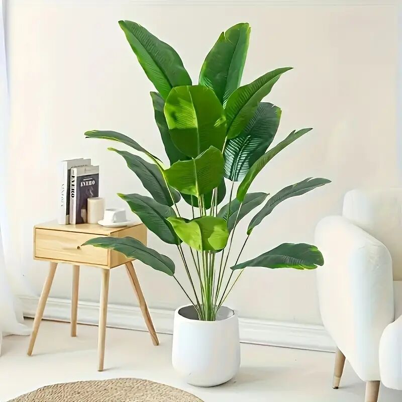 Plante Tropéa