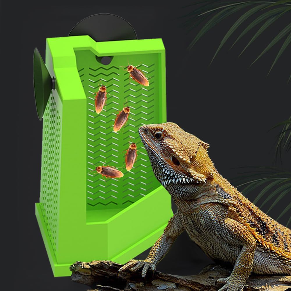 Support Canopé