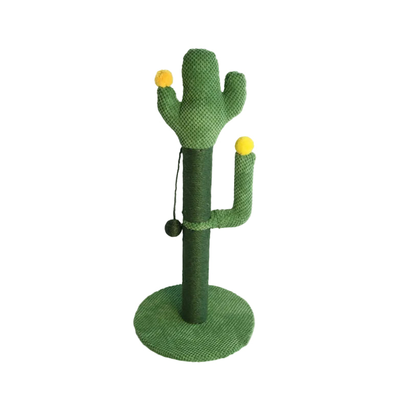 Griffoir Saguaro