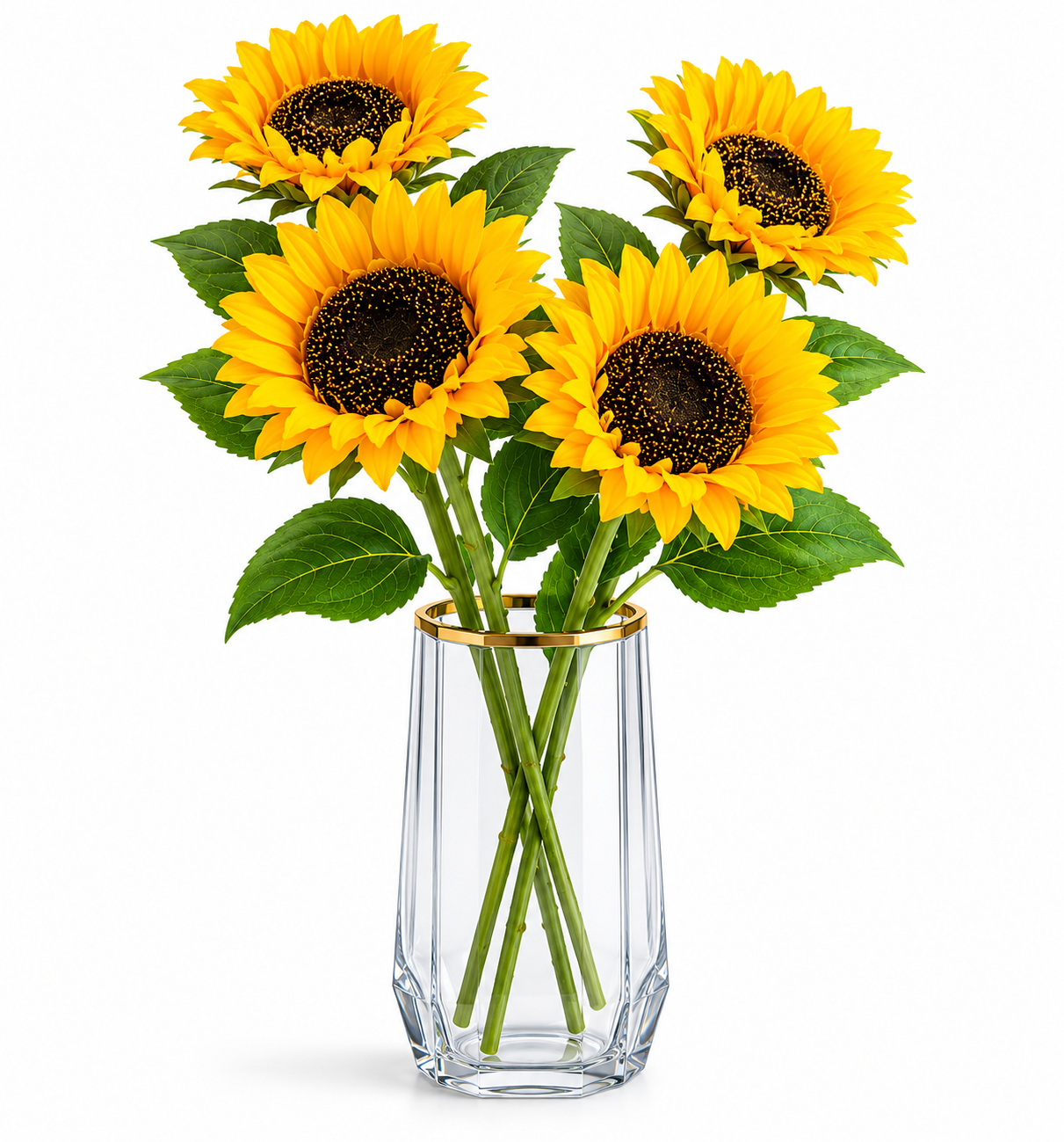 Tournesol Soléane