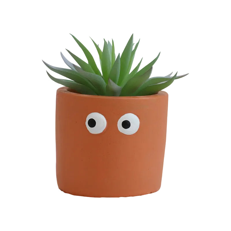 Succulente Mimzy