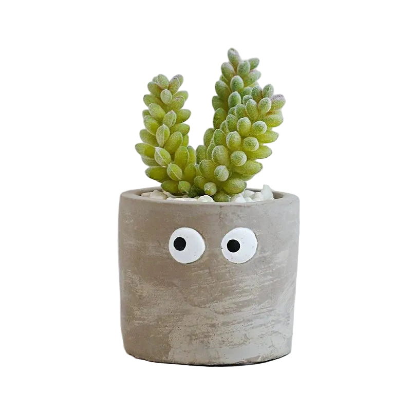 Succulente Mimzy