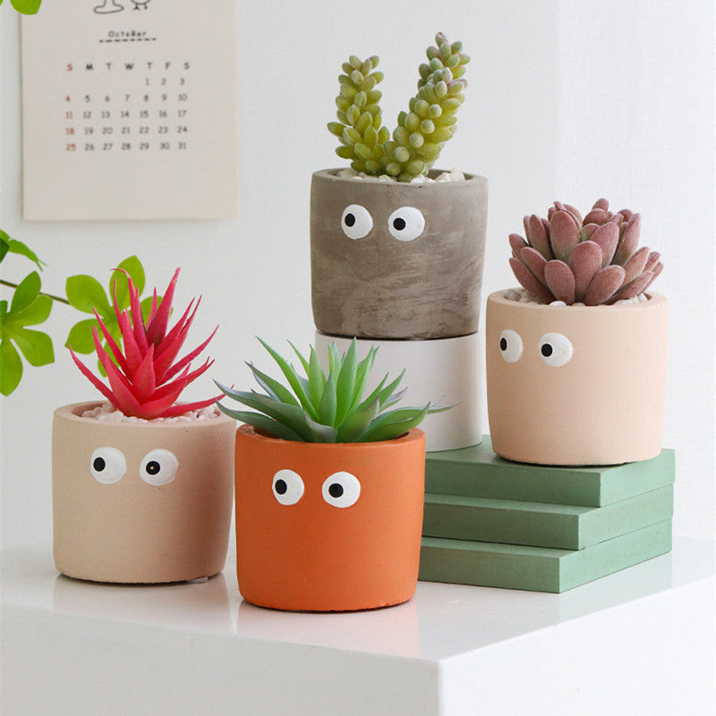 Succulente Mimzy