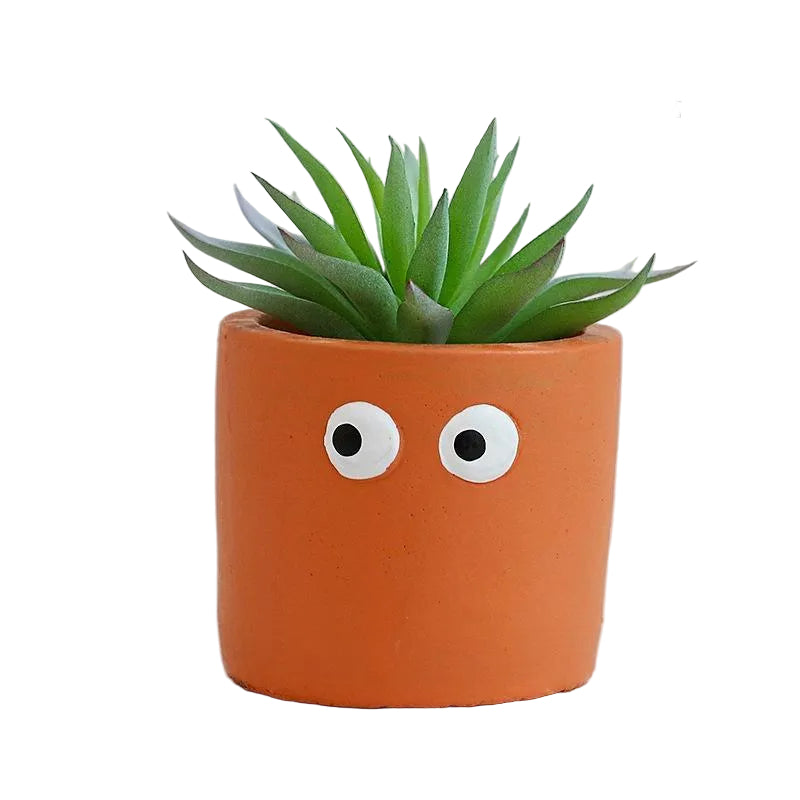 Succulente Mimzy