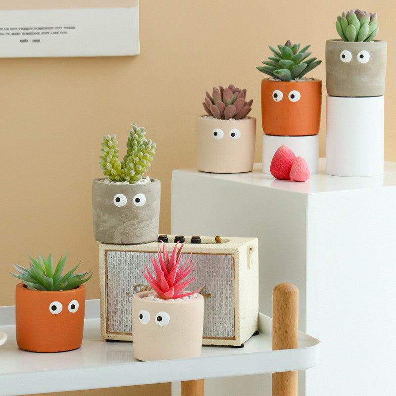 Succulente Mimzy