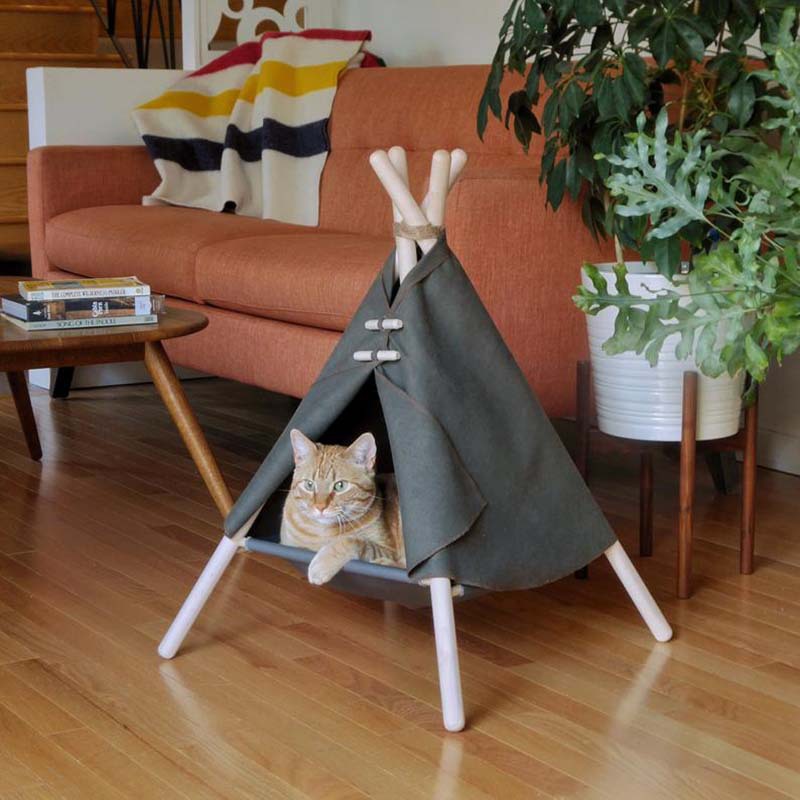 Tente tipi