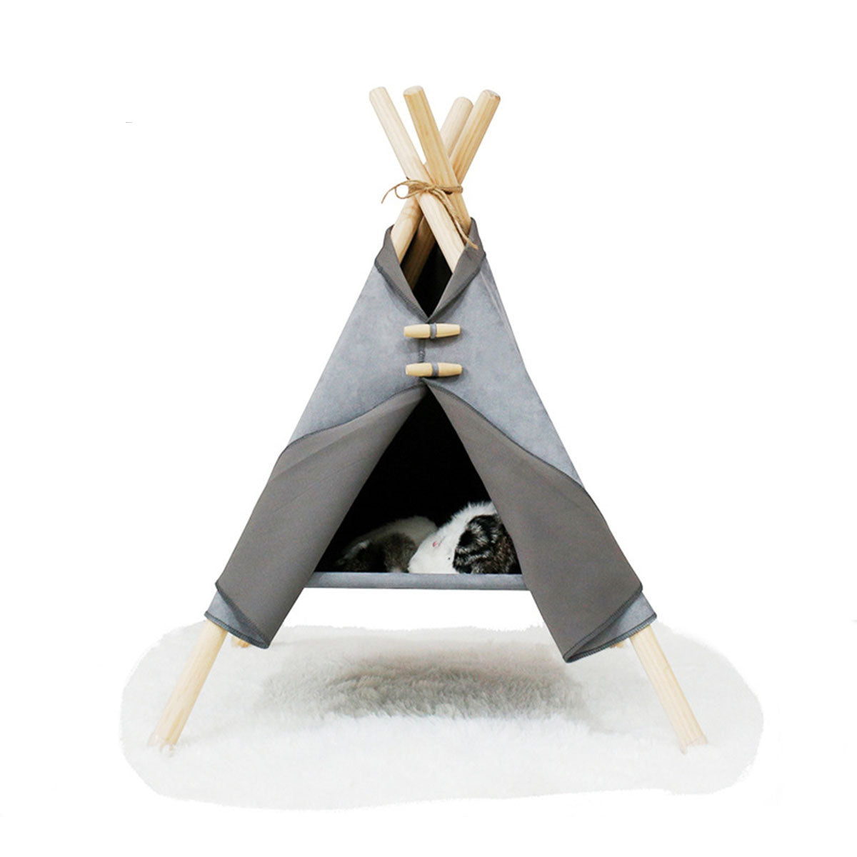 Tente tipi