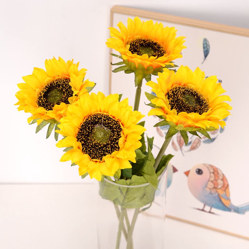 Tournesol Soléane