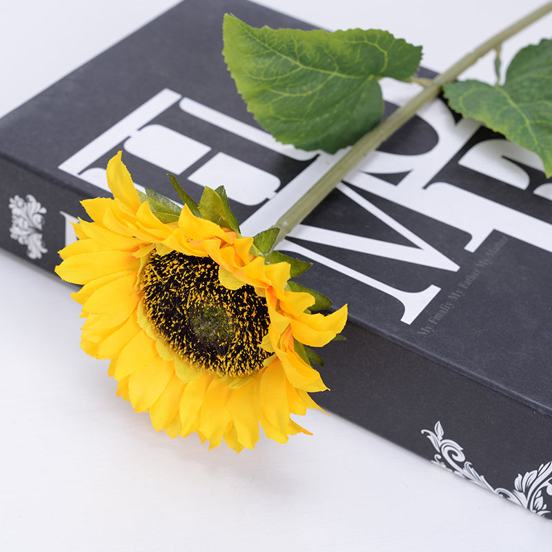 Tournesol Soléane