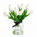 Tulipes Tuléa