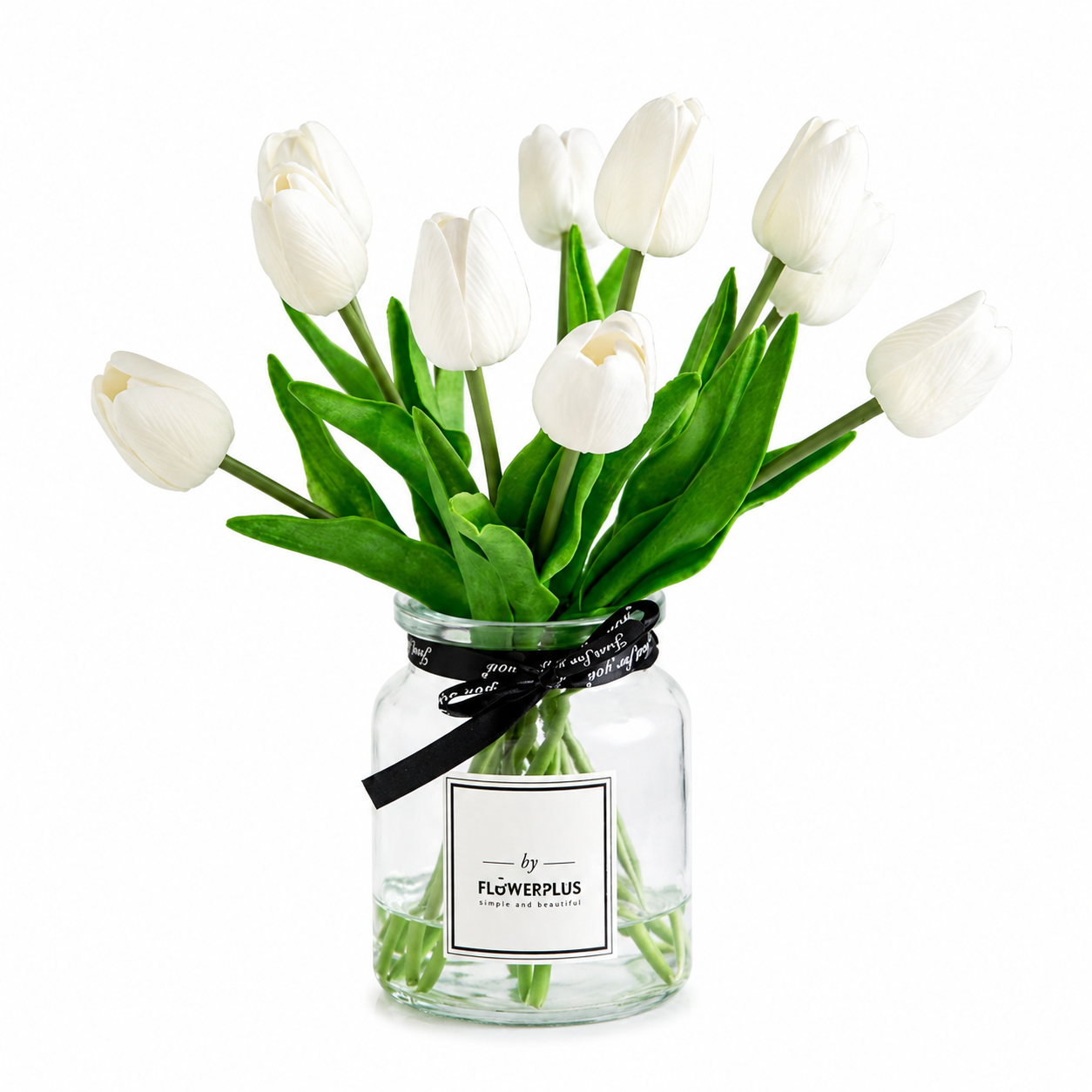 Tulipes Tuléa