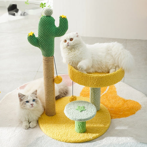 Arbre à chat Verde