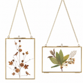 Cadre Flora
