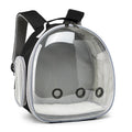 Sac Nébula